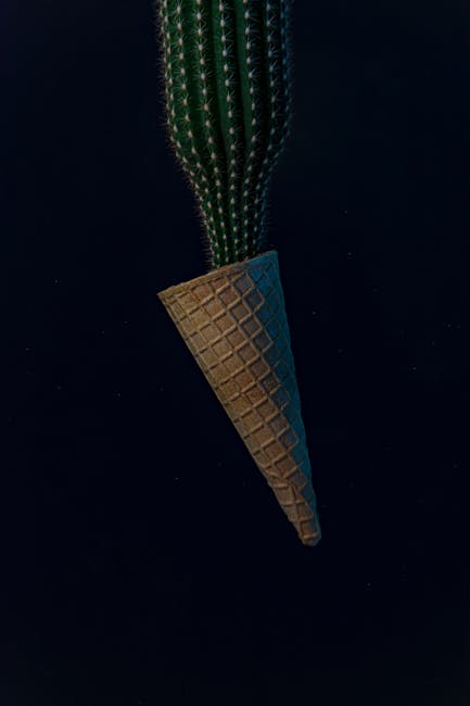 A Erosão da Credibilidade Militar ante a Pressão de Conflito no Oriente Médio