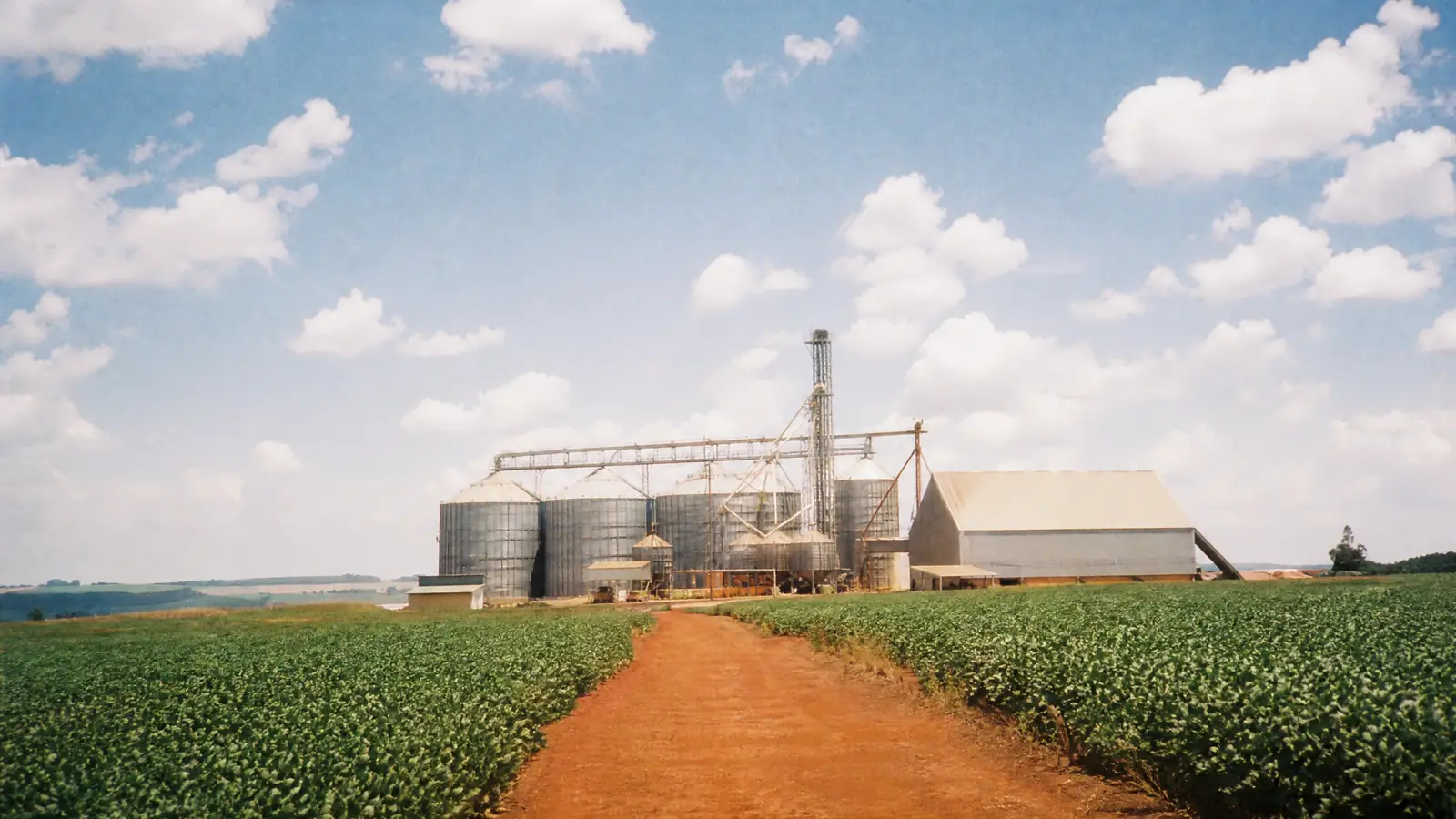 Silos de grãos e armazém ao fim de uma estrada de terra vermelha, entre lavouras de soja no norte do Paraná