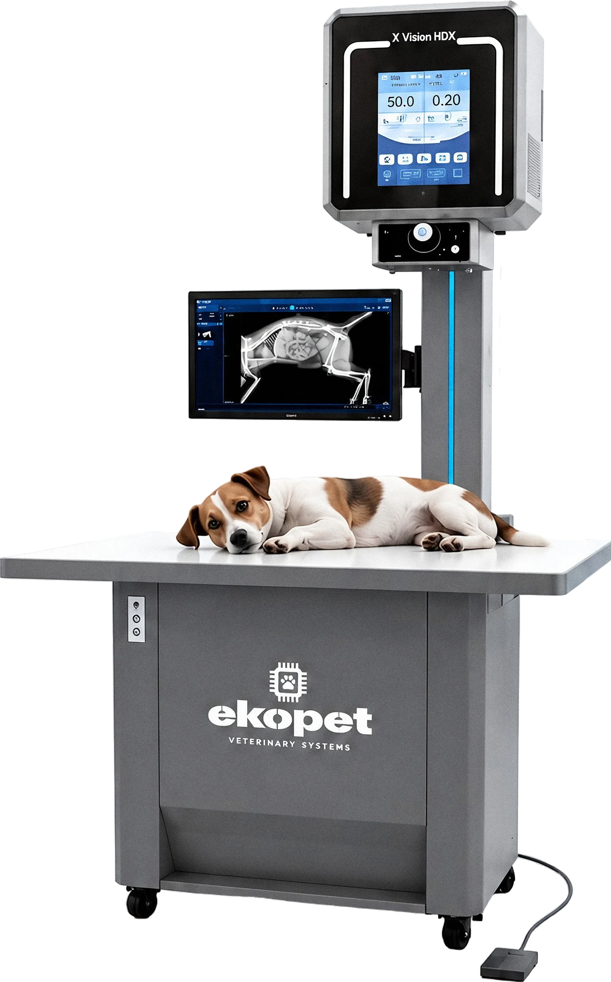 Equipamento de raio-X veterinário XVision HDX com mesa, monitor e um cão deitado