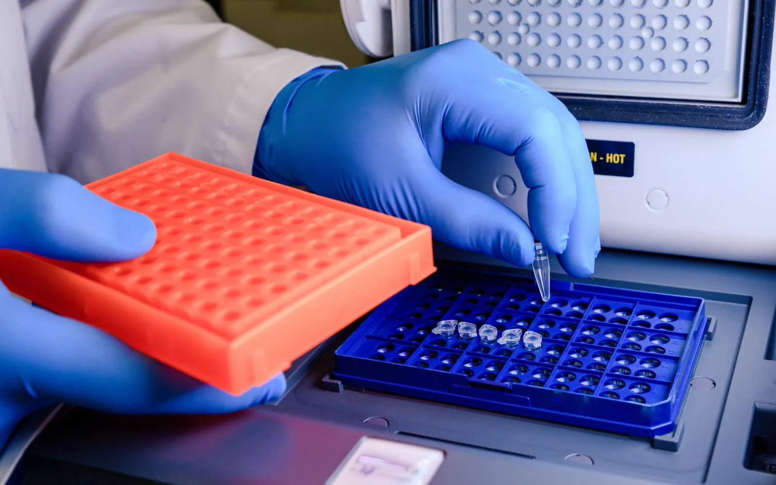 Preparação de placas e ponteiras para exames de biologia molecular