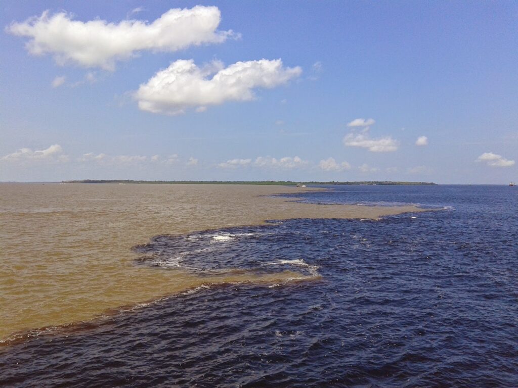 3 Day Amazonas and Negro River