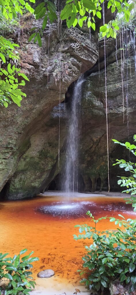 6 Day Waterfall and Amazon Cruise