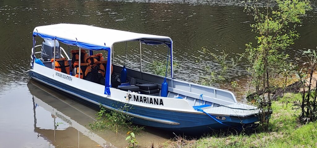 Rio Negro / Anavilhanas / Ariaú River