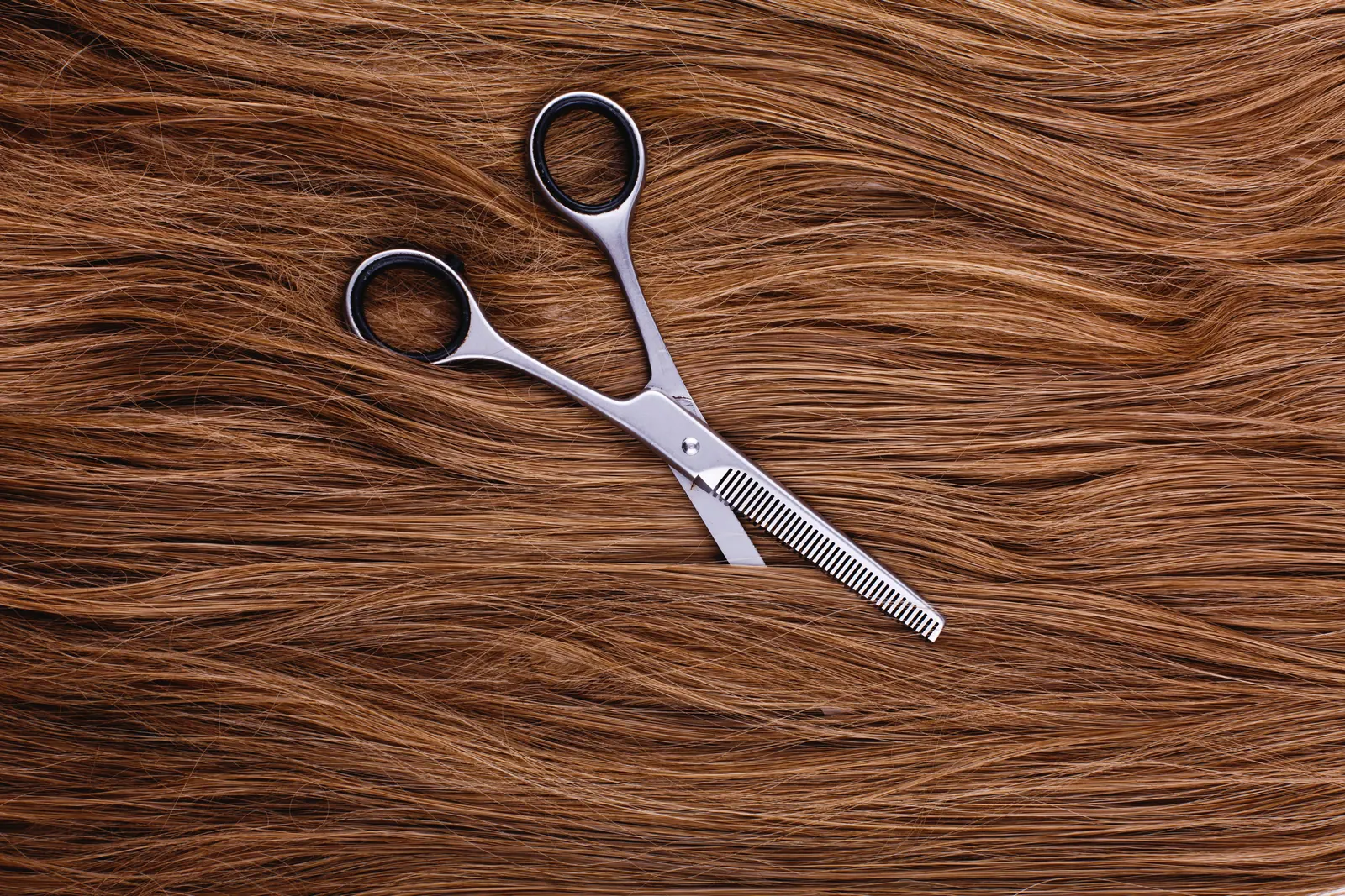 Tesoura profissional sobre cabelo castanho sedoso